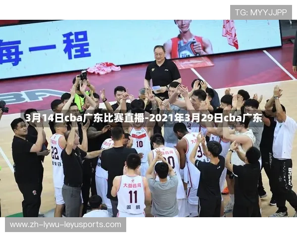 学历体育平台CBA足球直播入口